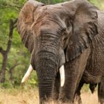 E-Commerce Evolution: Transformative Trends Shaping Online Retail