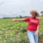 IFC Opens Applications for SME Financing Facility